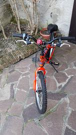 Bicicletta