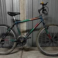 Bicicletta MTB "W" Multicolors