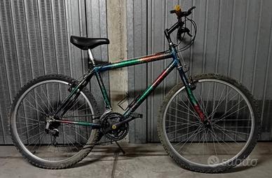 Bicicletta MTB "W" Multicolors