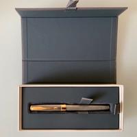 Stilografica Parker Ciselè Argento massiccio