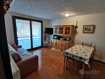 Trilocale con accesso diretto belvedere