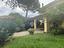 Immagine 12