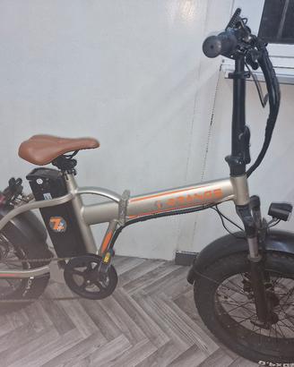 bici elettrica 