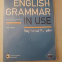english grammar in use 