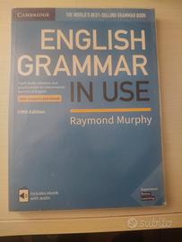 english grammar in use 