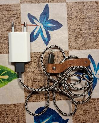 Caricabatterie Apple 5W+ Cavo Native Union