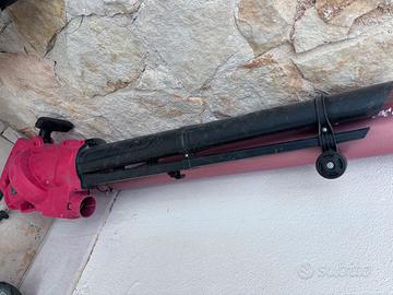 Aspirapolvere da giardino