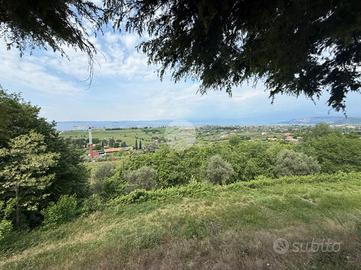 TER. AGRICOLO A BARDOLINO