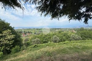 TER. AGRICOLO A BARDOLINO