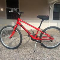Bicicletta ragazzo