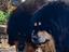 Immagine 6