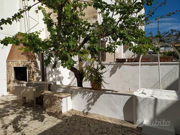 Lido conchiglie 50m dalla spiaggia