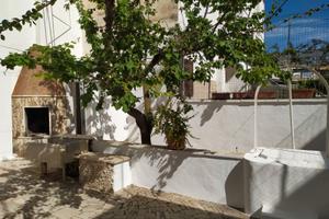 Lido conchiglie 50m dalla spiaggia