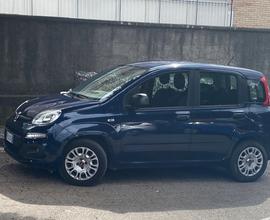 Fiat panda 2017