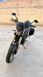 Benelli leoncino 500 trail 2024