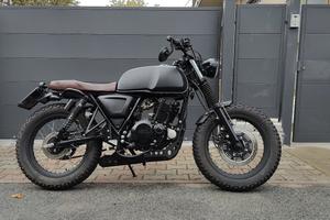 Mutt Akita 250 - 2022