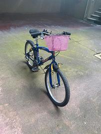 Bicicletta da  bambino