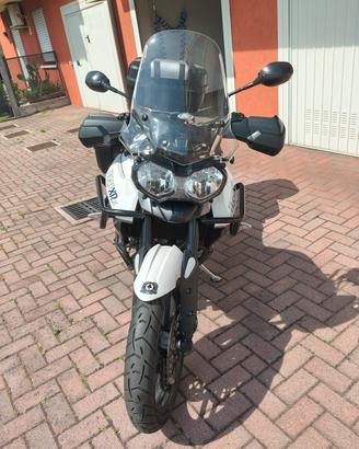 TRIUMPH TIGER 800 XRX