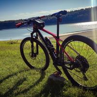 Bici MTB ROCKRIDER XC 900 Carbonio