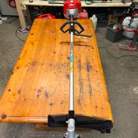 Decespugliatore tagliabordi bcs 34cc