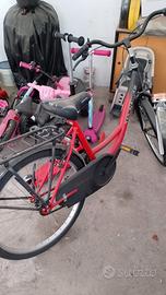 bicicletta da donna 24