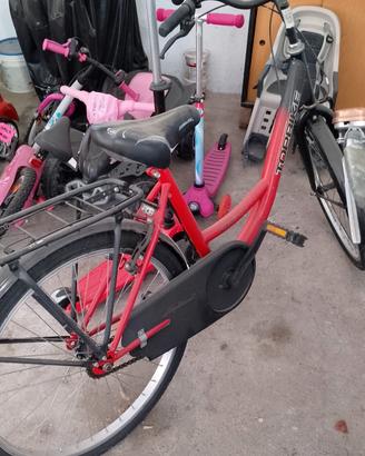 bicicletta da donna 24