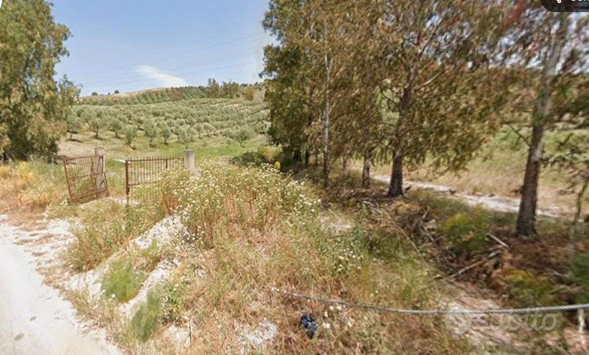 Terreno agricolo a Belcastro - Vista 2