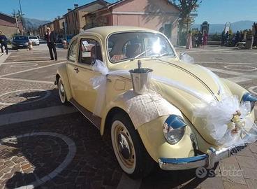MAGGIOLINO EPOCA 