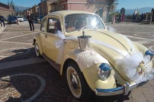 MAGGIOLINO EPOCA 