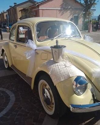 MAGGIOLINO EPOCA 
