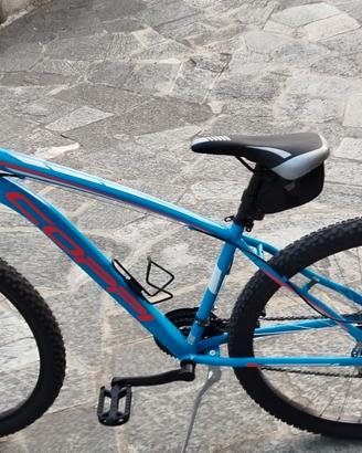 Mountain bike 29