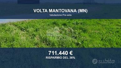 Immobile in asta di 44291 m² a Volta Mantovana
