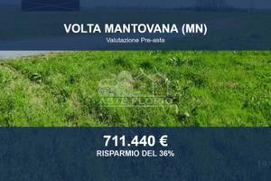 Immobile in asta di 44291 m² a Volta Mantovana
