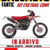 Fantic XEF 250 Trail Competition