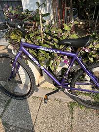 Mountain bike