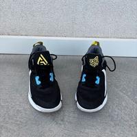 SCARPE BASKET "ANTETOKOUNMPO 2" NR 42