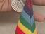 Immagine 6