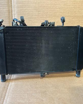 Radiatore Acqua + Ventola Yamaha MT-09 2021 2023