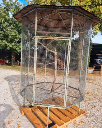 Voliera per uccelli