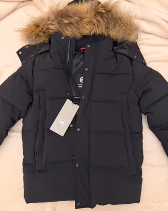 Canada goose