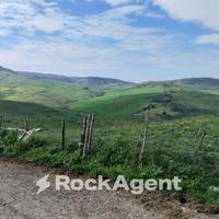 AZIENDA AGRICOLA IN CALASCIBETTA - C/DE CARMINELLO