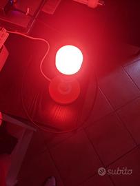 Lampadina Smart Xiaomi