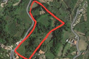 Terreno Edificabile / Agricolo