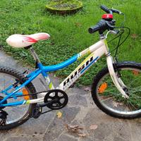 bicicletta bambino raggio 20