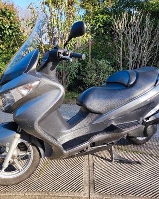 STANCO DEL TRAFFICO A BOLOGNA - SUZUKI BURGMAN 200