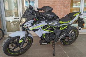 Kawasaki Z125 2019