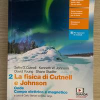 Fisica di Cutnell e Johnson, Onde campo elettrico