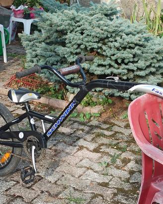 rimorchio tandem bambino