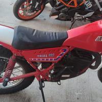 Fantic Trial