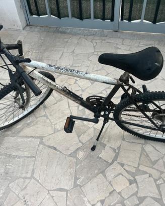 Bici 26